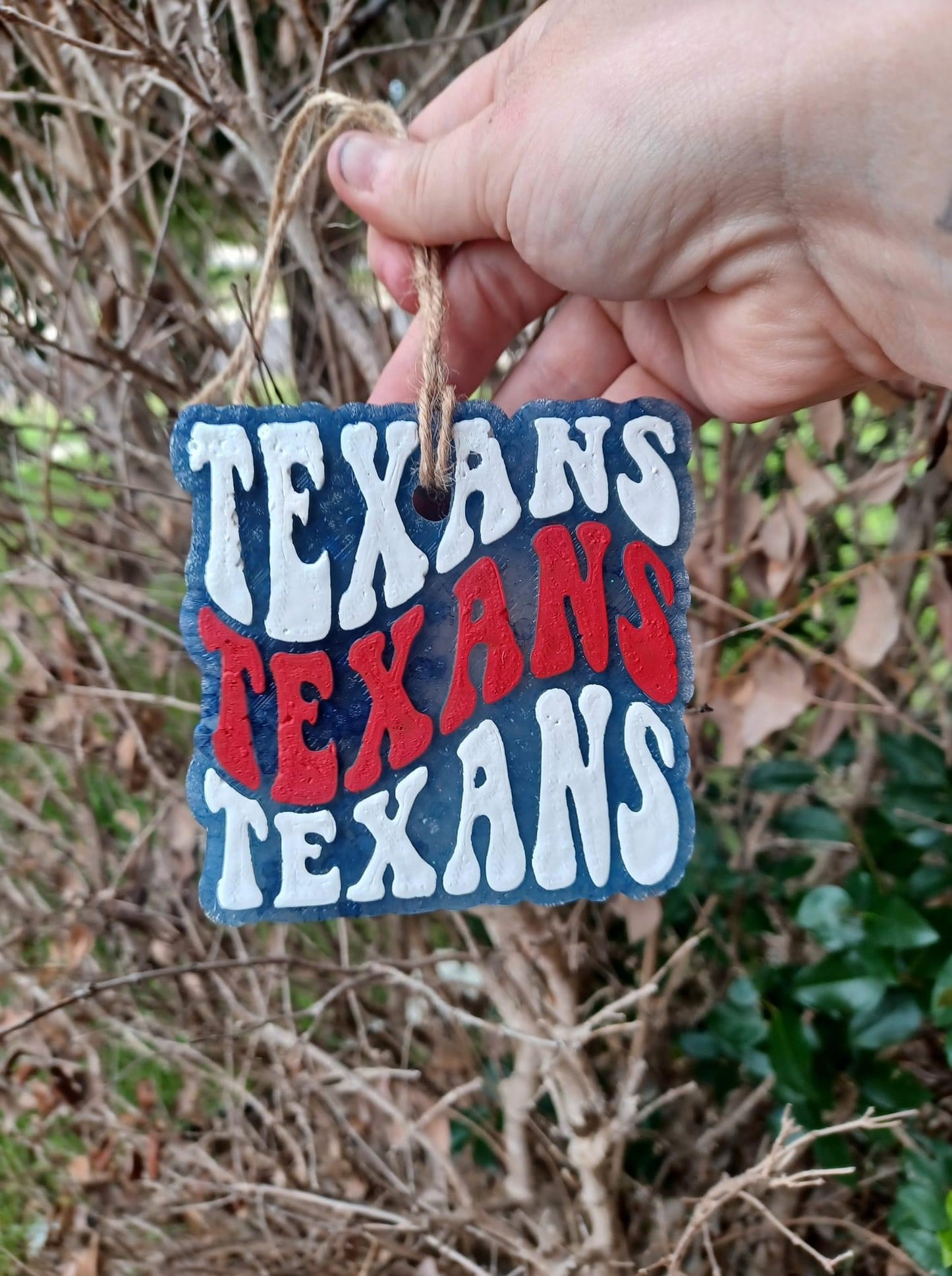 Texans Silicone Mold