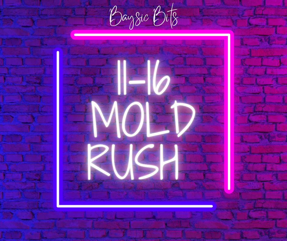 RUSH MY 11-16 MOLD ORDER