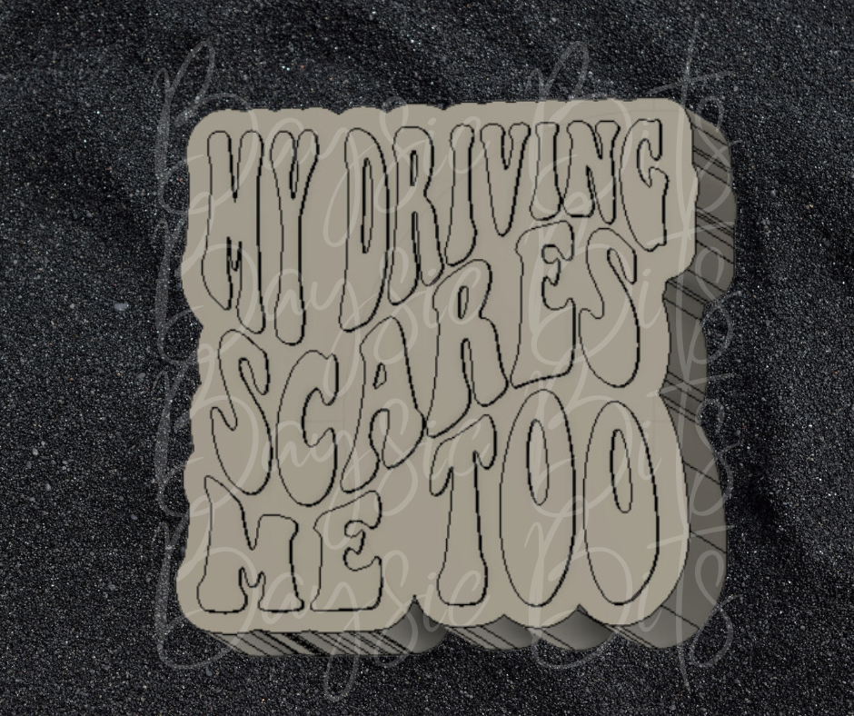 My Driving Scares Me Too Silicone Mold