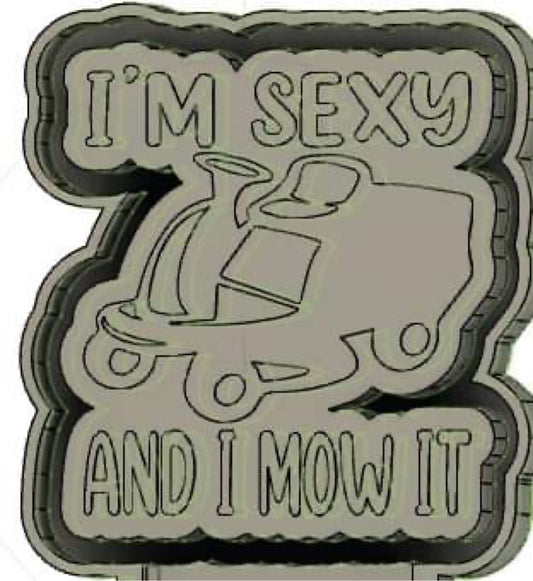 I’m Sexy and I Mow It Silicone Mold